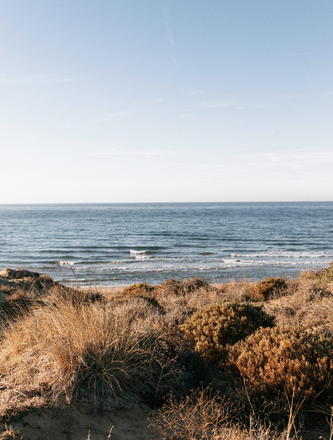 Alojamientos Feelathome en Costa del Sol