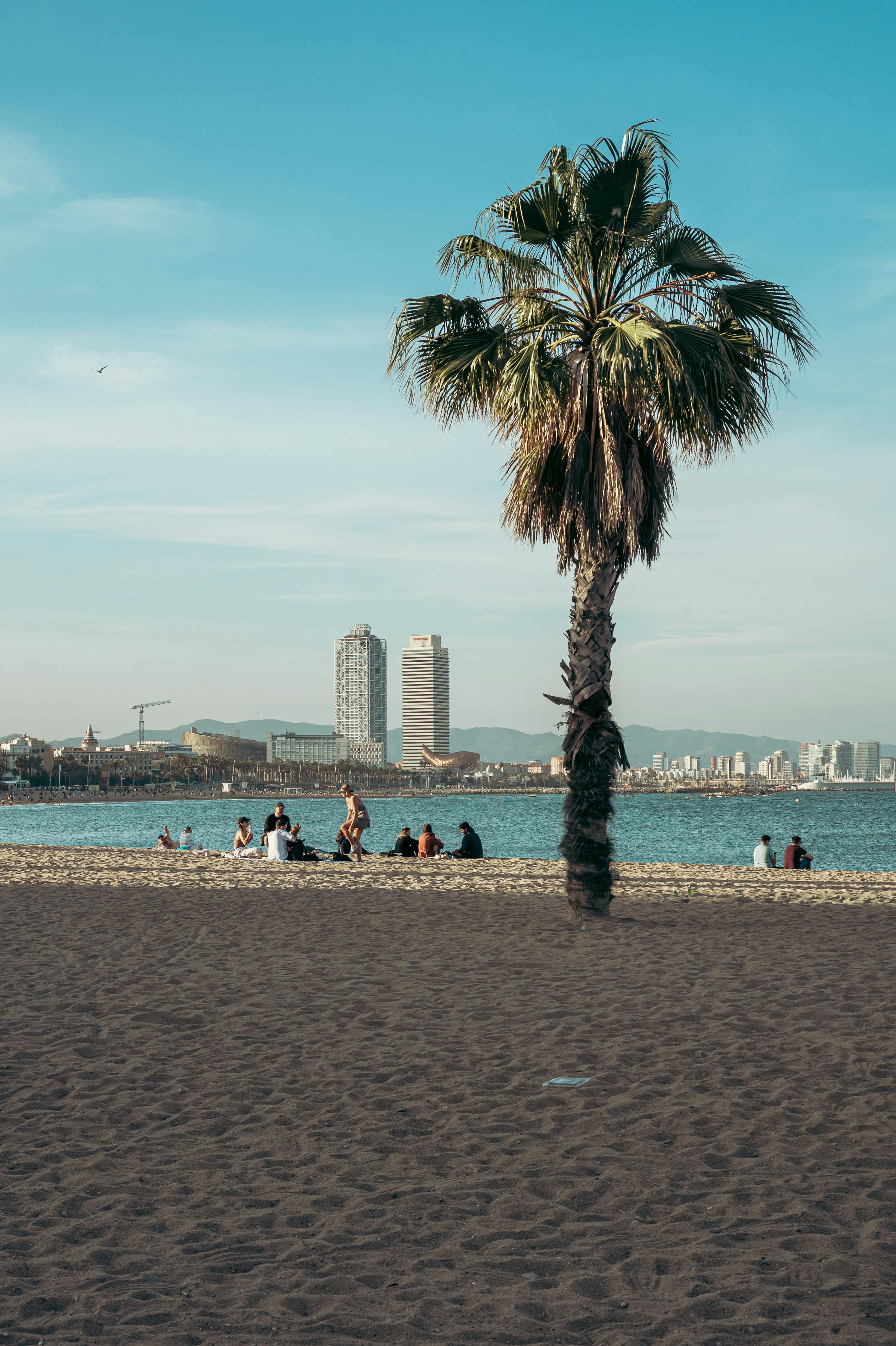 Platja de Barcelona a l’estiu, gent gaudint del sol